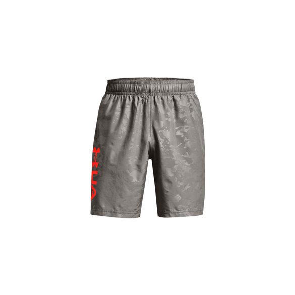 UA Woven Emboss Shorts