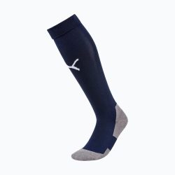 Team LIGA Socks CORE