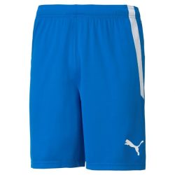 teamLIGA Shorts