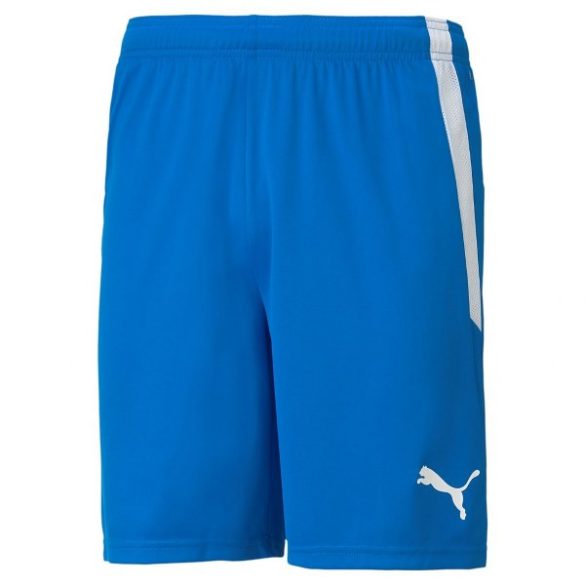 teamLIGA Shorts