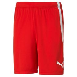 teamLIGA Shorts