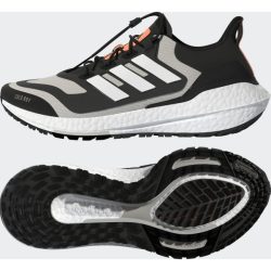 ULTRABOOST 22 C.RDY II W